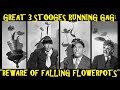 Great 3 Stooges Running Gag Beware Of Falling Flowerpots
