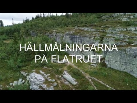 Hällristningar & hällmålningar från stenåldern | Flatruet, Gärde