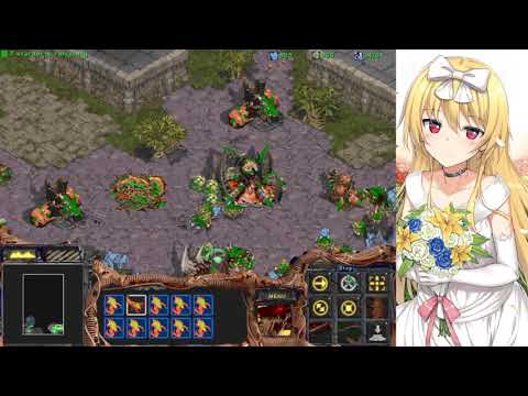 Inconsummate 3: Sins of the Follower