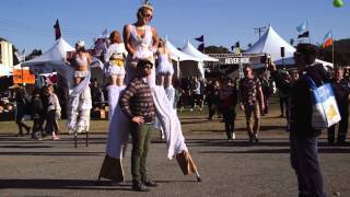 Treasure Island Music Festival - Official 2013 Video