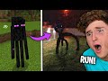 The Most CURSED Minecraft Images On The Internet