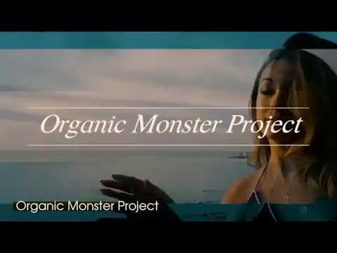 Yan Roads & The Organic Monster Project - Promo Video