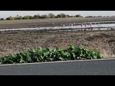 The Two witnesses are the 144000👑🕊March on Christian soldiers🔥Robes of righteousness 🔥Obedience