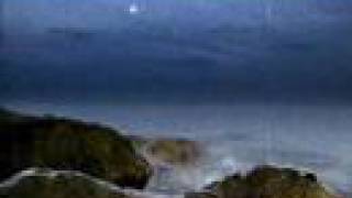 Bat for Lashes - Seal Jubilee