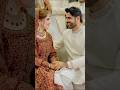 Neelam Muneer Wedding Highlights Beautiful Couple Moments Celebrity Wedding 2025