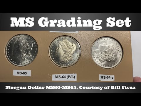 Mint State Morgan Dollar Grading Set - MS60-MS65 - Courtesy of Bill Fivaz