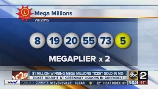 Match 5 Mega Millions ticket sold in Maryland