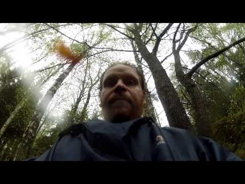 舞台裏｜トム・クランシーのザ・ディビジョン (Behind the scenes | Tom Clancy's The Division)