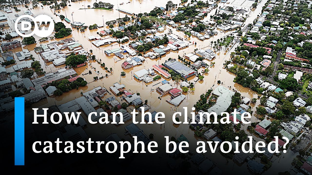 UN releases handbook of climate change solutions | DW News