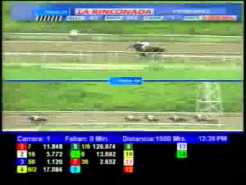 1ERA CARRERA DOM 17 JUNIO LA RINCONADA AUDIOHIPISMO