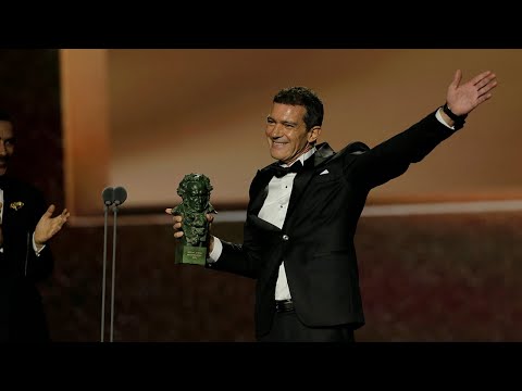 Antonio Banderas, Goya 2020 a Mejor Actor Protagonista por Dolor y gloria