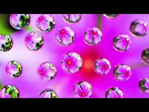 FotoZ - Making a Gimmick Video by Smartphone Macro Lens 105mm