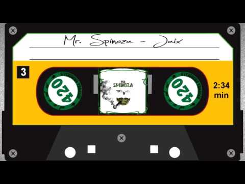 Mr. Spinoza - Jaix