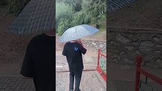 带丞丞逛圆明园