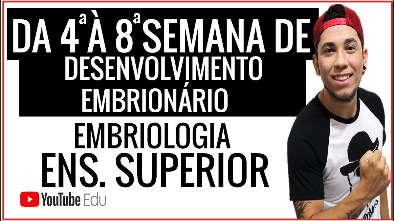 Aula 3/3: DA QUARTA À OITAVA SEMANA DE DESENVOLVIMENTO EMBRIONÁRIO │ORGANOGÊNESE │