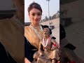 Chhatrapati Shivaji Maharaj Status Full Screen Insta Reels Video Chhatrapati Shivaji Maharaj Jayanti