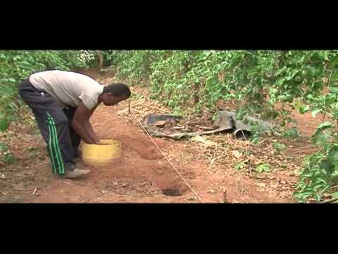 PAFID Kenya agricultural training on K24 TV — KMT/GATSBY market access