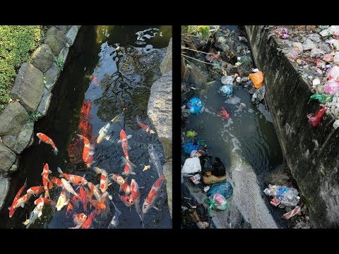 Japan vs India which country is more polluted ?