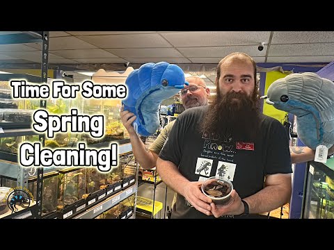 How to Pick a Clean-up Crew for Your Pet's Terrarium or Enclosure! - Isopods, Springtails, & More! 😃