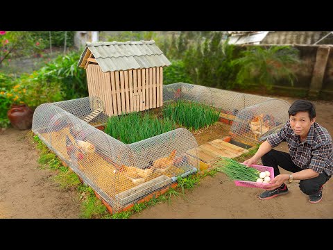 , title : 'My wife likes chicken coop combined with growing organic vegetables | Mini budget ideas'