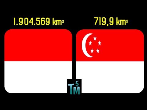 Diabetes pada saat yang sama bagaimana untuk mengobati impotensi Cara memesan penurunan palu pada torus ponsel