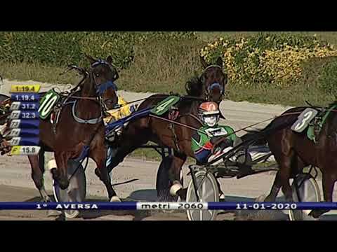 Aversa trotto 11 Gennaio 2020 - 1° Corsa