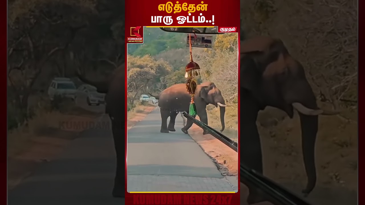 எடுத்தேன் பாரு ஓட்டம்..! | #elephant #elephantvideo #kumudamnews #kumudamnews24x7