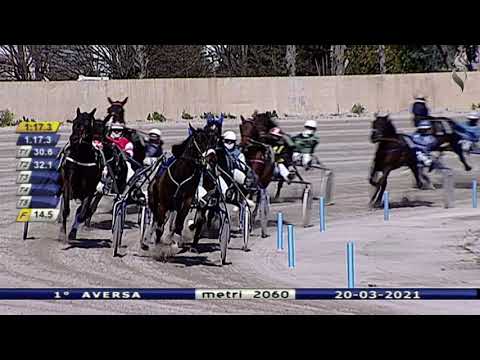 Aversa trotto 20 Marzo 2021 - 1° Corsa