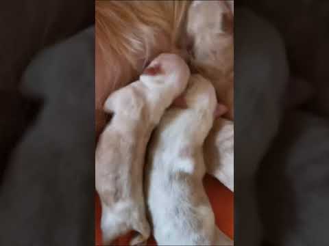 April hat 9 Babies bekommen ❤️