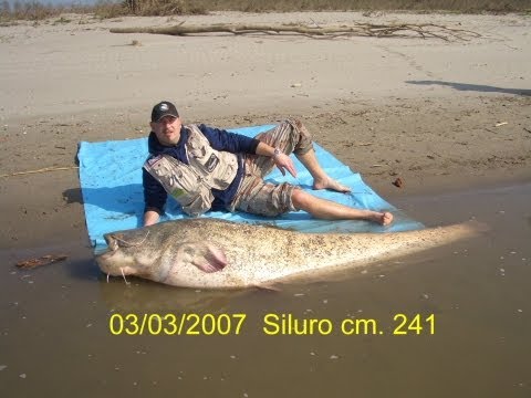 sumec 241