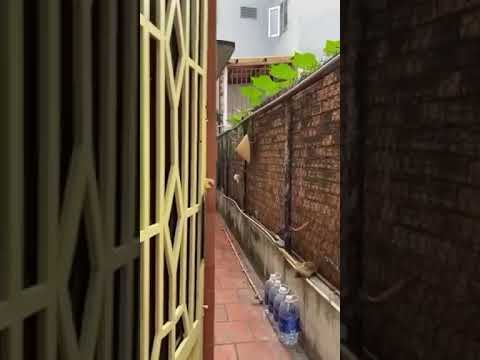 Chính chủ bán gấp nhà cấp 4 Diện Tích 105m2 đường số 18, Đặng Văn Bi,TP Thủ Đức