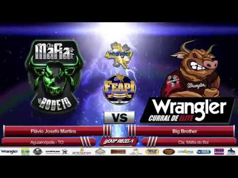Touro Big Brother da Cia. Máfia do Boi