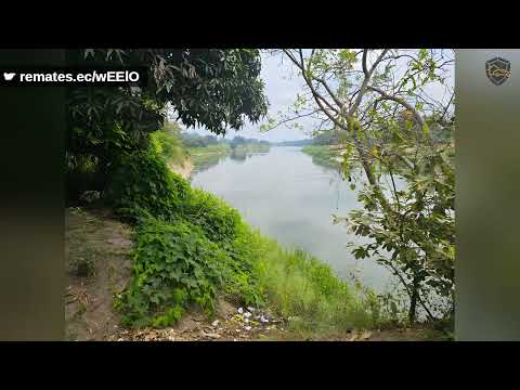 HACIENDA AGRÍCOLA DE 86.5 HECTÁREAS EN COLIMES, GUAYAS ($28,965)
