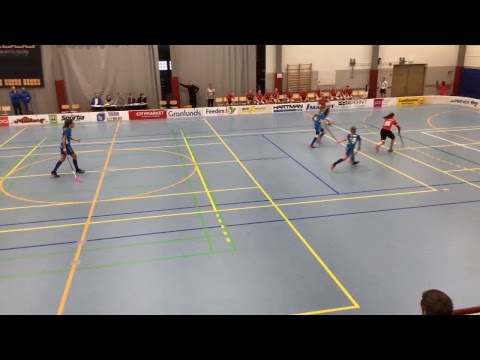 Blue Fox - SSRA B-flickor FM