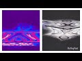 Klasky Csupo In Videoup V12 Splitaf