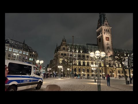 Hans Georg Maaßen AfD Hamburg & Antifa Gegendemo 16.2.26