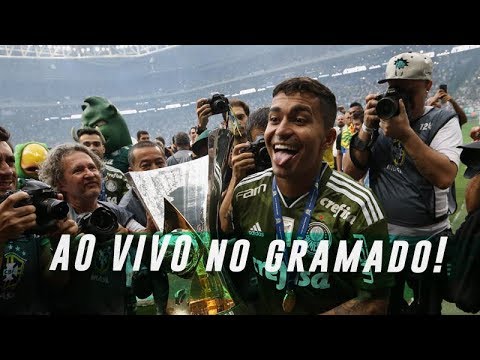 AO VIVO: PALMEIRAS 3 X 2 VITÓRIA - FESTA NO GRAMADO DO ALLIANZ PARQUE
