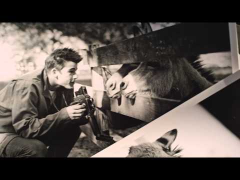 Josh Hartnett in You're My Thrill - MARC O'POLO Campaign Fall/Winter 2015