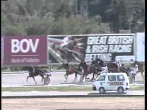 www kennethvella com  Meeting (9) Date 8-3-2015 Race 1,2,3,4,5,6,7,8