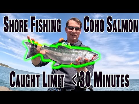 How to Catch Coho Salmon Limit in 30 minutes! Shore Fishing Lake Michigan | Milwaukee Harbor