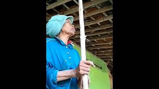 Download lagu video lucu. nenek nenek marah mp3