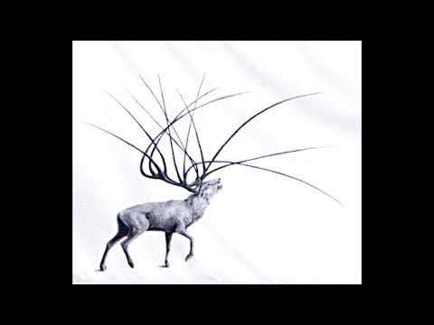 mnml ssgs special - deer @ galleria civica modena