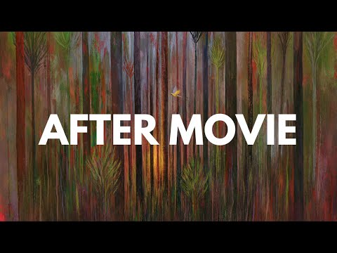 Les coulisses des bénévoles de la 37es édition du festival Cinélatino !
