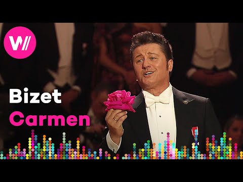 Bizet - Carmen: "La fleur que tu m'avais jetée" (Piotr Beczala) | Wiener Opernball 2024