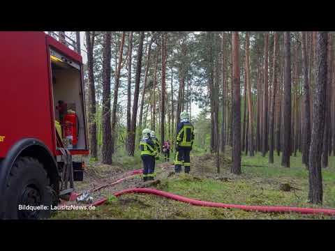 Hoyerswerda: Waldboden steht in Flammen - LAUSITZWELLE