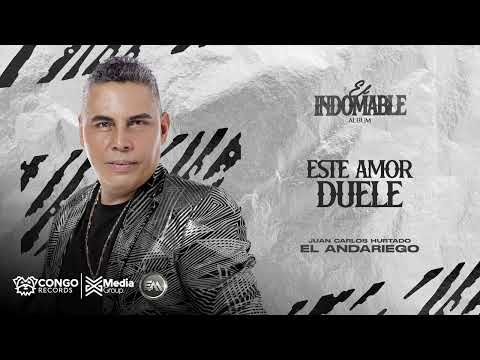 Este Amor Duele - El Andariego (Audio Oficial)