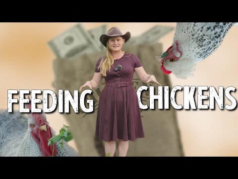 The Ultimate Chicken Feeding Guide: Part 1 - Essential Nutrients
