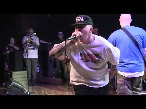 Despize - House of Disorder 2025