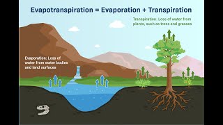 Understanding Evaporation and Evapotranspiration: Key Concepts in Hydrology