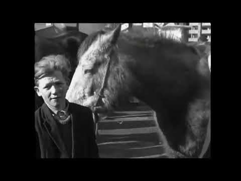 Millstreet Horse Fair, Co. Cork, Ireland 1965